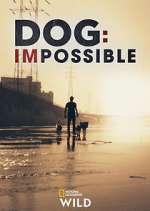 Watch Dog: Impossible 0123movies