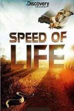 Watch Discovery Channel Speed Of Life 0123movies