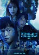 Watch Investigation Couple 0123movies