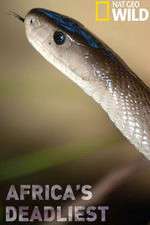 Watch Africas Deadliest 0123movies