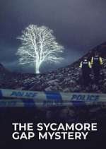 Watch The Sycamore Gap Tree Mystery 0123movies