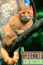 Watch Treetop Cat Rescue 0123movies