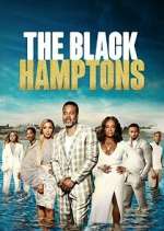 Watch Carl Weber's The Black Hamptons 0123movies