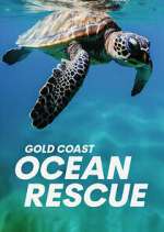 Watch Gold Coast Ocean Rescue 0123movies