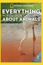 Watch Everything You Didnt Know About Animals 0123movies