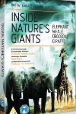 Watch Inside Nature's Giants 0123movies
