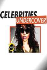 Watch Celebrities Undercover 0123movies