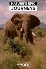 Watch Nature's Epic Journeys 0123movies
