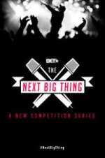 Watch The Next Big Thing 0123movies