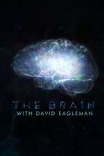 Watch The Brain with Dr David Eagleman 0123movies