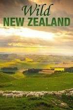 Watch Wild New Zealand 0123movies